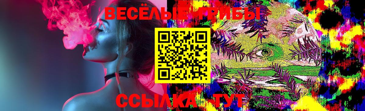 Рузаевка  Псилоцибиновые грибы GOLDEN TEACHER  Вход с VPN 